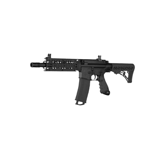 MagFed